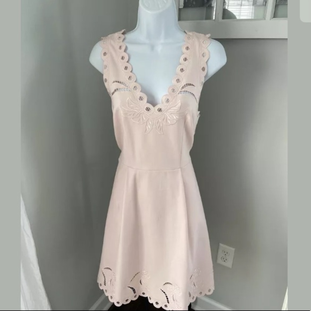 Ted Baker Emalise Pink Skater Dress